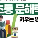 책나무 이미지