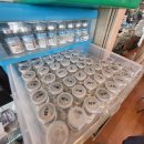 영신안경 이미지