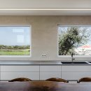 하도리 님과 함께 이미지