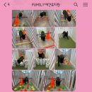 퍼밀리 이미지