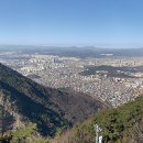 대구시설관리사무소 서울신문