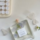 (신규)조향 블랜딩 이미지