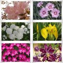 테라롯지 이미지