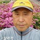 시천교 이미지
