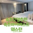 속초호텔 속초바이베스트웨스턴 디럭스 패밀리퀸 후기 아기랑 여행숙소