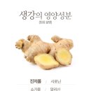 다미보화 이미지