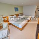 호텔핀코 | 제주도 내돈내산 [ 성산 더포 그레이스 리조트 &amp; 함덕 비치 호텔 W ] 가성비 여행 feat. 숙소 추천