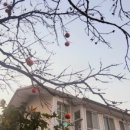 길순이 보쌈 이미지