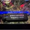 7080딴따라