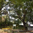 절부마을입구 이미지