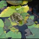 호반마을삼거리 이미지