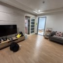 개멍물멍 이미지