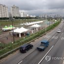 간선-40 이미지