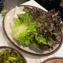 드디어 먹은 신도림 족발 맛집, 신도림 참족발 웨이팅 후기