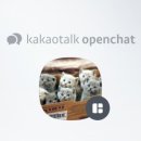 고양이전문점 허니캣 이미지