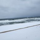 정남도서관 1층 | &lt;강릉여행&gt;눈발휘날리며 갈만한 자극적인 장칼국수 맛집 &lt;금천칼국수&gt;, 후식은 &lt;정남미명과&gt; 빵!