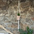 신흥늦장 이미지