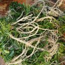 용인농장 이미지