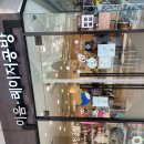 이음 리조트 | 비발디파크 ADHD 아이와 체험 추천: 이음 레이저 공방 방문 후기