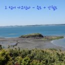 승선태양광발전소 이미지