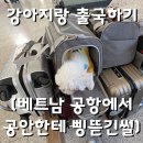 농림축산검역본부 양산사무소 | 베트남 하노이 강아지 출국 비용부터 절차 도착해서 까지 모두 한번에 설명드려요!! A to Z(하노이 제주...