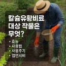 칼슘유황비료 대상 작물은 무엇? (효능, 사용법, 사용주기, 엽면시비) 이미지