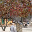백장암 소장 범종 | 남원 실상사(實相寺)는 보물 창고