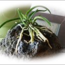 청수리 농어촌체험마을 이미지