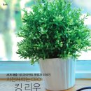 주식회사 리우 이미지