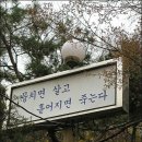 임유