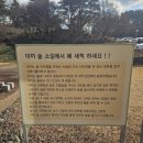 소길동백 이미지