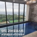 청년, Forest | 영덕 리브포레스트 풀빌라 리조트, 가족여행 숙소 추천 (LIV1 후기)