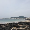 삼양환해장성 이미지