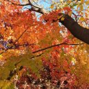 형제의료기 이미지