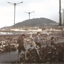 (주)씨포스트제주 이미지