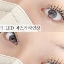 래쉬바이에이치