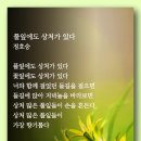 풀잎에도 상처가 있다 - 정호승 이미지