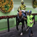 코리아헌터 이미지