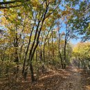 귀성약수터 이미지