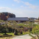 익산 고스락 네이버블로그
