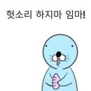 태양관