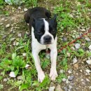 영천별빛굼벵이농장 이미지