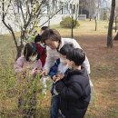 기쁨유치원 이미지