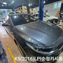 멀티게러지