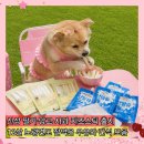 네츄럴랩 | 강아지 노령견 신상 간식 내추럴랩 딸기 망고 사과 치즈스틱 우유 내돈내산 후기
