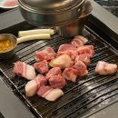 하이;돼지