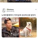 강아지의 "부탁이야 그만해" 라는 표현.JPG 이미지