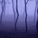 빛으로 그린 세상 이미지