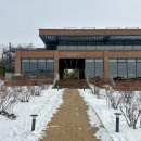 [이천] 블루베리 농장이 있는 대형 브런치카페 ‘더반올가닉’ 내돈내산 후기