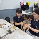 광주경신여자고등학교 이미지